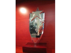 2010年度別克銷(xiāo)售五星 (杯)